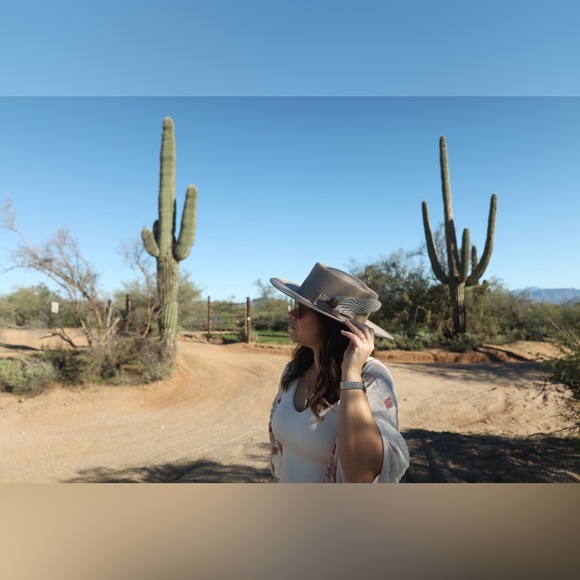 Beige Wool Gambler Hat – Western Felt Hat with feather hat pin - Picture 5 of 8